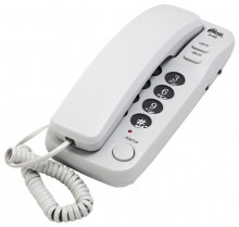 Ritmix RT-100 Ritmix RT-100