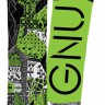 GNU Carbon Credit (16-17)